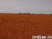 10 acres agricultural land for sale in Karnataka