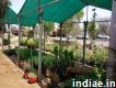 Shreenathji garden & nursery