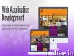 Professional applications Development Company in Us