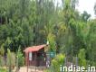 Resorts Near Bandipur National Park Greenwoods Nature Camp