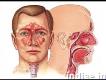 Best Ear-nose-throat (ent) Specialist Doctors In Kolkata - Credihealth