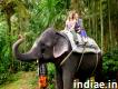 Best Kerala Travel and Holiday Packages