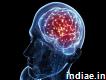 Neurology Specialist, Best Neurologist Doctor In Delhi - Credihealth
