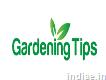 Gardening Tips`