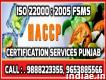 Haccp Registration Services In Batala Amritsar Punjab