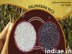 Kalanamak Rice Gi Product Uttar Pradesh