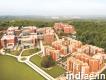 Amity University Top Mba Colleges in Delhi Ncr