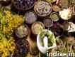 Ayurvedic Manufacturer Company in Roorkee