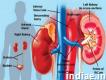 Our hospital is specialized in Kidney Surgery/transplant