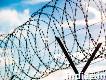 Buy Electric Fencing & Barbed Wire in Gujarat From Gurukrupa Wirenetting Industries