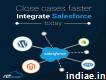 Salesforce Crm Integration Company