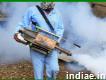 Pest control in Aurangabad Termite control company in Aurangabad