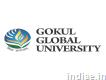 Best University in Sidhpur - Gokul Global University
