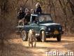 Ranthambore Best Selling Tour Packages