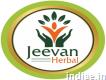 Are you looking for ayurvedic & herbal Products company