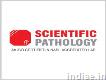 Best Pathology Collection Centre in Firozabad