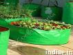 Plant Grow Bags in Coimbatore