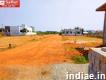 Medical college roundana near dtcp with rera approved plot for sale in pillaiyarpatti