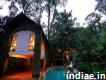 Mystic Mayapott - Best Jungle Resort In India