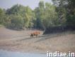 Sundarban tour 1 night 2 days