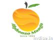 Buy Alphonso Mango Online Fresh Hapus Mangoes Ho