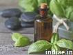 Premium Basil Oil from Gramme Products, India's To