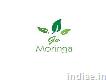 Go Moringa Dietician in Gurgaon
