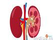 Looking for Kidney Treatment in India?