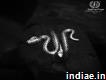 Buy Silver Snake Ring Online Jewllery Design