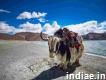 Ladakh With Hanle Tour Packages