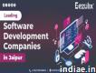 Leading Software Development Companies in Jaipur