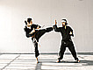 Martial arts in India